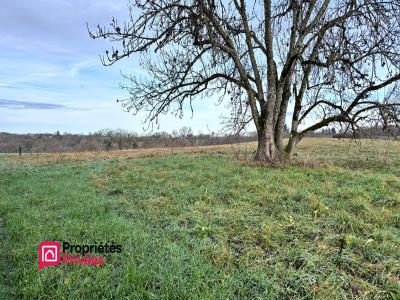 Annonce Vente Terrain Chapdes-beaufort 63