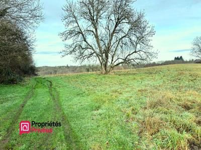 Acheter Terrain 1828 m2 Chapdes-beaufort