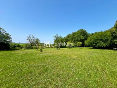 For sale Puylaurens 5 rooms 175 m2 Tarn (81700) photo 3