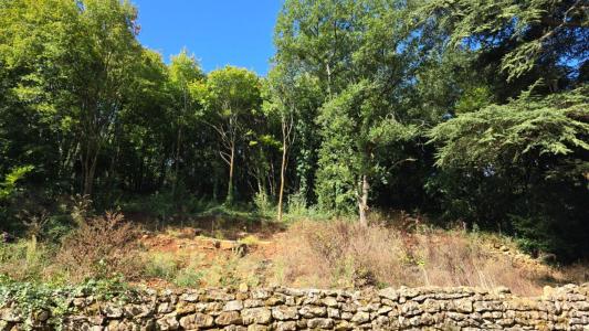 Annonce Vente Terrain Vouneuil-sous-biard 86