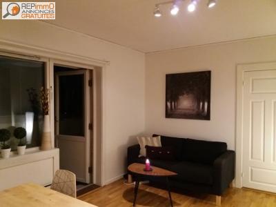 Annonce Location 2 pi�ces Appartement Lyon 69