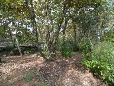 Acheter Terrain 1794 m2 Chauzon