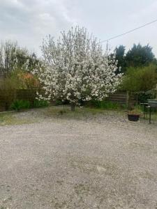 Acheter Maison Chatillon-sur-indre Indre