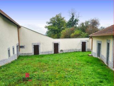 Annonce Vente 9 pi�ces Maison Neulise 42