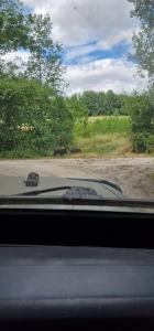 For sale Gennes Maine et loire (49350) photo 0