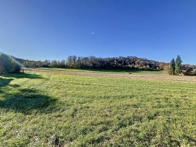 Acheter Terrain Monein