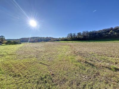 Acheter Terrain Monein 45000 euros