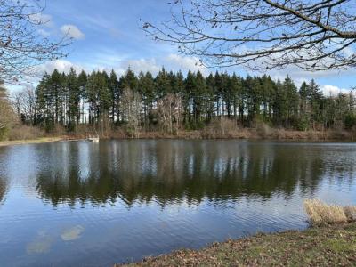 For sale Crevant 32767 m2 Indre (36140) photo 0