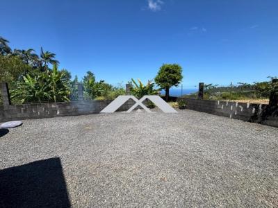 Acheter Maison Saint-joseph Reunion