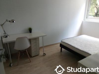 Annonce Location Appartement Villeurbanne 69