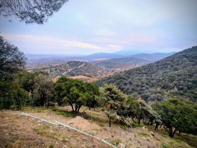 For sale CAMPAGNE 10 CENTRE CERET 5 rooms 120 m2 Pyrenees orientales (66400) photo 3