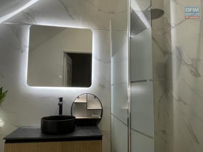 For sale Saline-des-bains Reunion (97434) photo 3