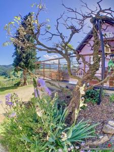 For sale Sainte-croix-aux-mines 6 rooms 110 m2 Haut rhin (68160) photo 3