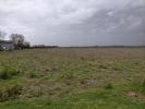 For sale Land Saint-hippolyte 409 m2
