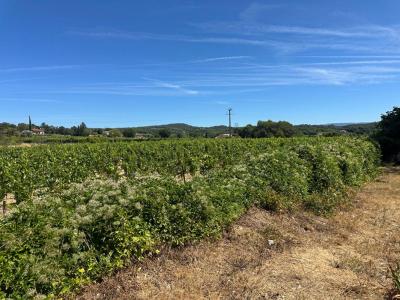 For sale Tour-d'aigues 6 rooms 180 m2 Vaucluse (84240) photo 1