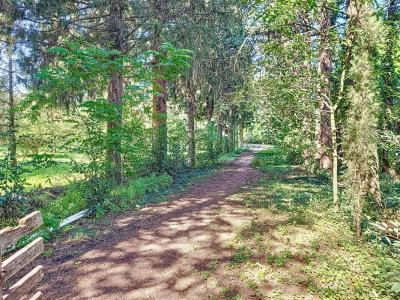 For sale Chateaurenard 7 rooms 153 m2 Bouches du Rhone (13160) photo 3