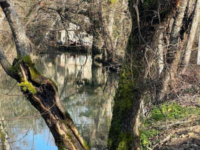 For sale Chateau-l'eveque 5 rooms 130 m2 Dordogne (24460) photo 2