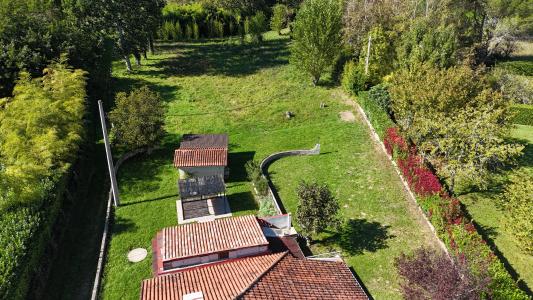 Annonce Vente 6 pi�ces Maison Albi 81