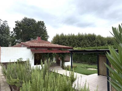 Acheter Maison 94 m2 Albi