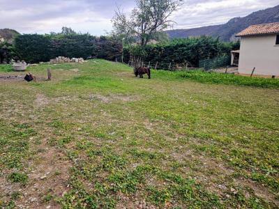 Acheter Maison Saint-julien-en-saint-alban 275000 euros