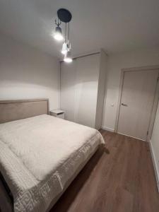 Annonce Location 2 pi�ces Appartement Lyon-7eme-arrondissement 69