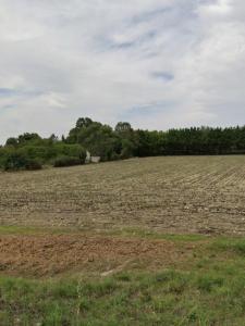 Annonce Vente Terrain Thou 17