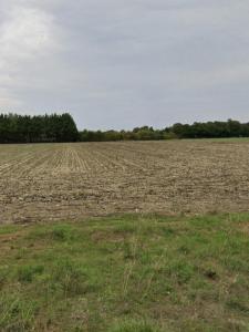 Acheter Terrain 375 m2 Thou