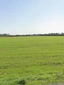 Annonce Vente Terrain Angliers 17