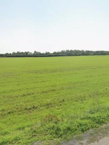 Acheter Terrain 409 m2 Angliers