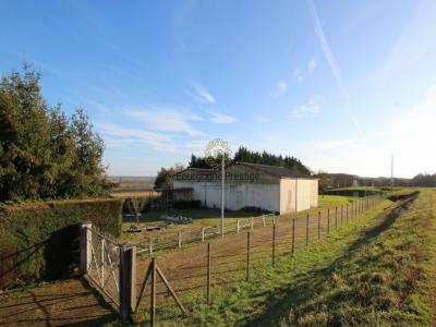 For sale Tournus 527 m2 Saone et loire (71700) photo 0