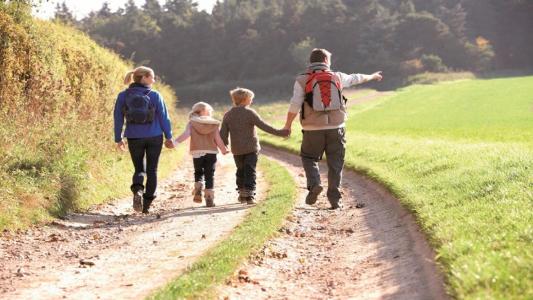 Annonce Vente Programme neuf Baussaine 35