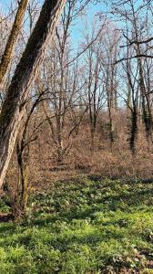 Annonce Vente Terrain  33