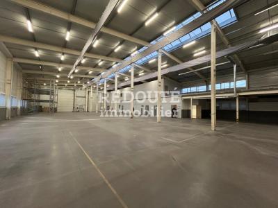Louer Commerce 1300 m2 Reims