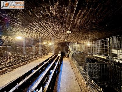 For sale Beaune 12 rooms 700 m2 Cote d'or (21200) photo 3