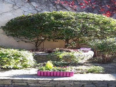 Acheter Chambre d'hotes 187 m2 Donzere