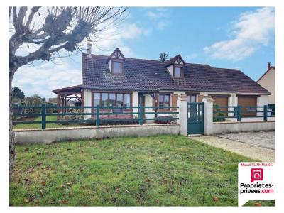 Annonce Vente 6 pi�ces Maison Darvoy 45