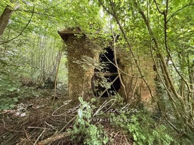 Acheter Terrain Champier Isere