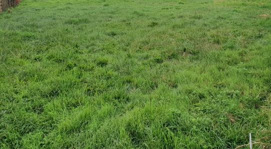 Annonce Vente Terrain Brach 33