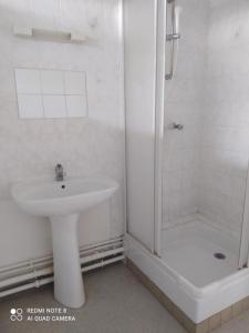Louer Appartement Blanc 419 euros