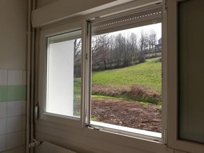 For rent Croix-aux-mines 4 rooms 68 m2 Vosges (88520) photo 1