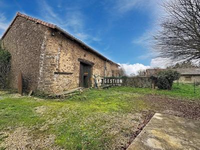 Acheter Maison 208 m2 Saint-leonard-de-noblat