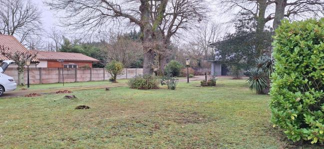 Annonce Vente Terrain Pessac 33