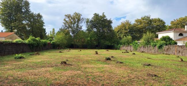 For sale Martignas-sur-jalle 1043 m2 Gironde (33127) photo 0