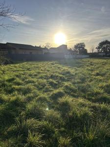 For sale Albi 450 m2 Tarn (81000) photo 0