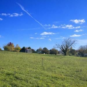 For sale Montpitol 702 m2 Haute garonne (31380) photo 1