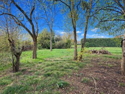 Annonce Vente Terrain Montberon 31