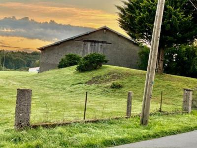 Annonce Vente Maison Hadol 88