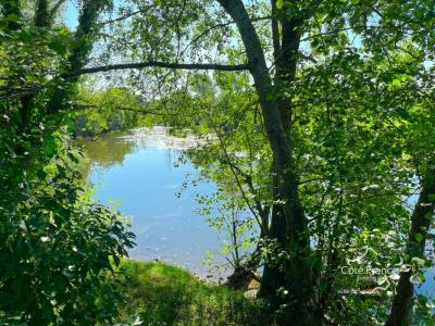 Acheter Terrain Guillon Yonne