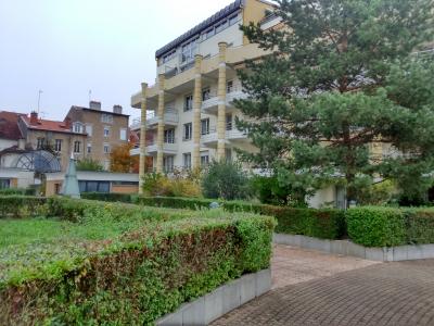 Annonce Location 6 pi�ces Appartement Nancy 54