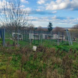 Acheter Maison Saint-silvain-bas-le-roc 217000 euros